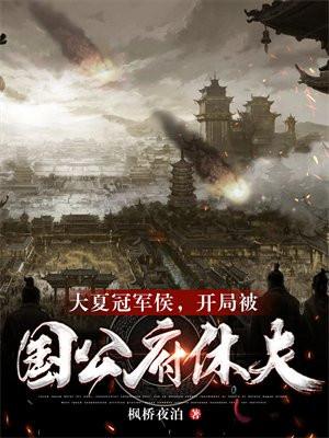 大夏王侯免费阅读