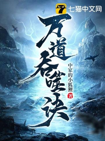 万道吞噬诀沈天沈枫