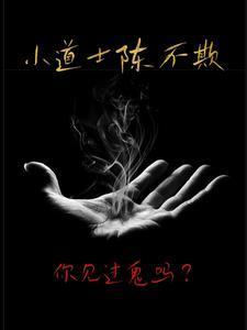 小道士陈不欺大结局