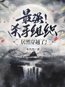 最强杀手组织居然穿越了杀手代号