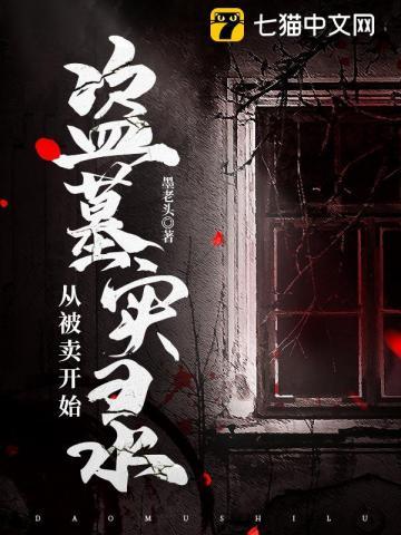 盗墓实录从被卖开始 undefined