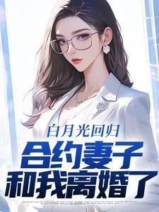 合约妻子和我离婚了林默大结