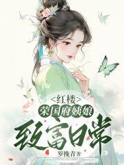 红楼荣国府姨娘致富日常26