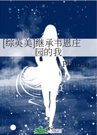 综英美继承韦恩庄园的我TXT