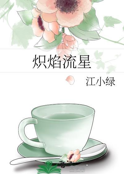 炽焰流星讲什么