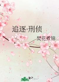 追逐·刑侦txt