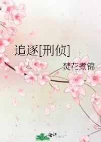 追逐刑侦焚花煮锦免费