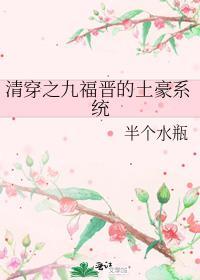 清穿之九福晋的土豪系统百度