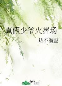 真假少爷火葬场发条
