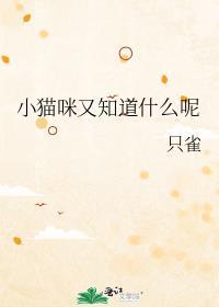 小猫咪又知道什么呢英语