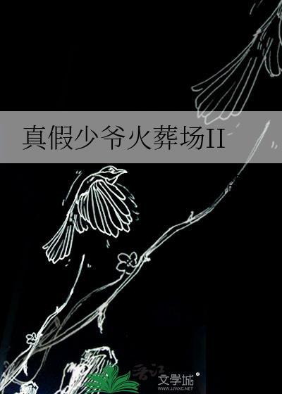 真假少爷火葬场II达不溜歪免费阅读