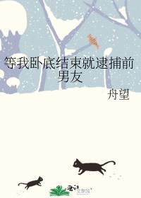 等我卧底结束就逮捕前男友了