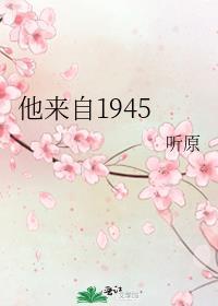 他来自1945宝书网TXT