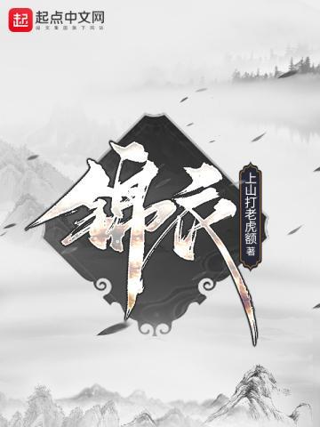 锦衣之下 电视剧