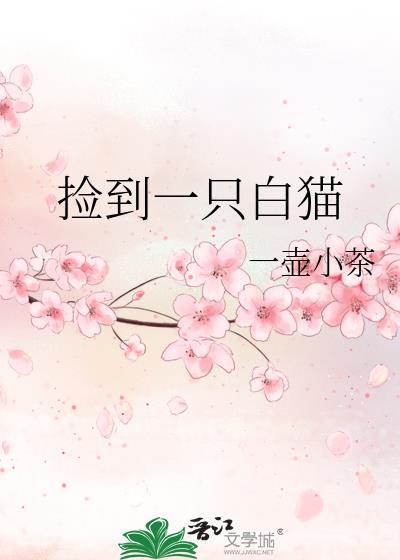 捡到一只白猫是什么征兆