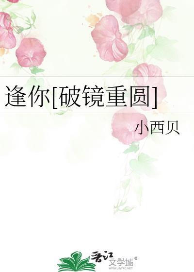 逢你破镜重圆免费阅读