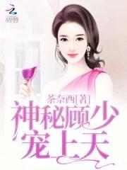 书名神秘顾爷掌上宝