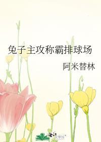 兔子主攻称霸排球场罗马网