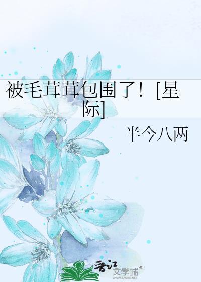 毛茸茸的被子是什么被子