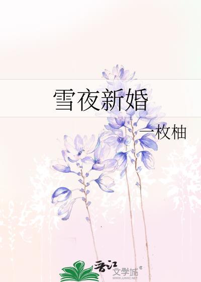 雪夜新婚讲的什么