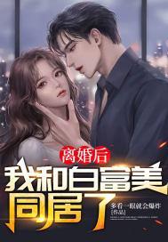 离婚后我和白富美同居了免费阅读全文无弹窗