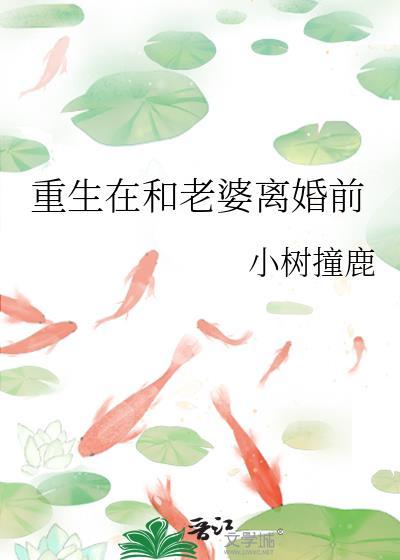 重生在和老婆离婚前by小树撞鹿笔趣阁