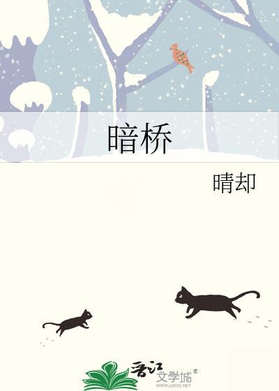 暗桥bY晴却全文免费阅读