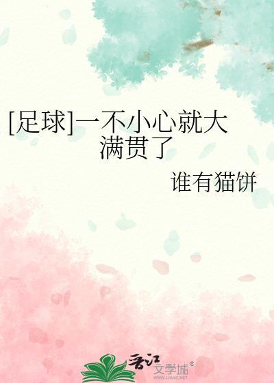 足球一不小心就大满贯了笔趣阁