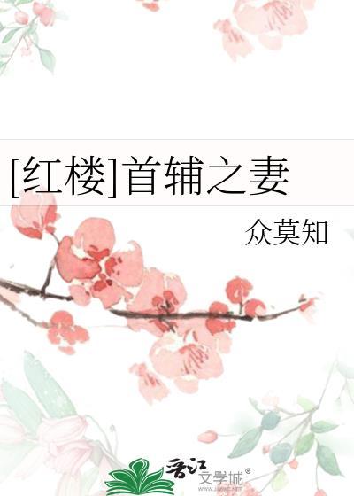 红楼首辅之妻 众莫如笔趣阁
