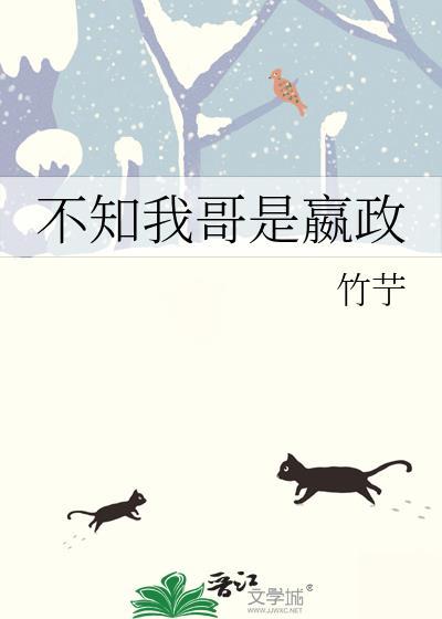 不知我哥是嬴政免费阅读