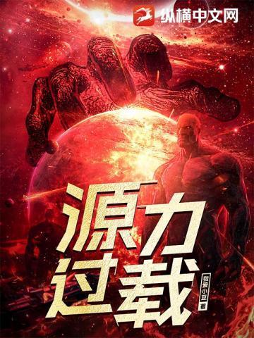 源力过载是什么意思