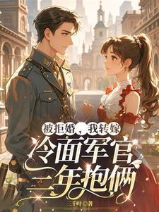 我转嫁冷面军官三年抱俩 作