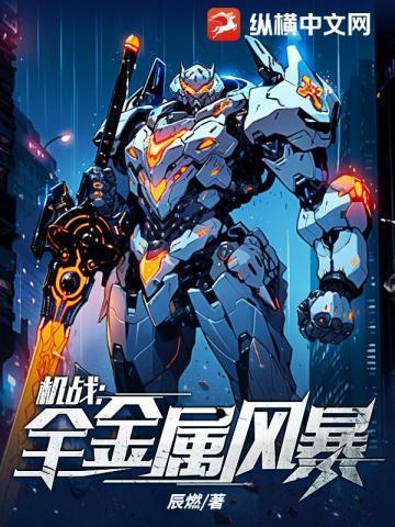 机战全金属风暴白岫