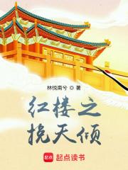 红楼梦之挽天倾免费阅读