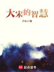 大宋的智慧作者