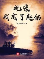 北宋我成了赵佶笔趣阁免费