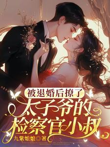 被退婚后成了太子妃