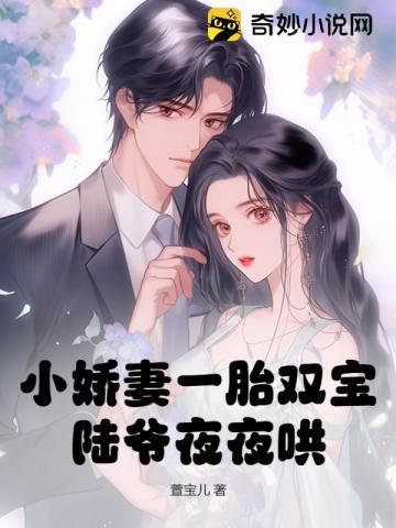 小娇妻一胎双宝陆爷夜夜哄