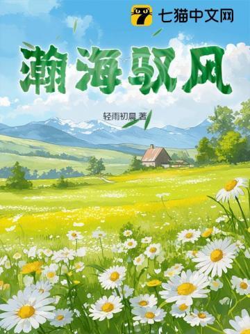 瀚海释义