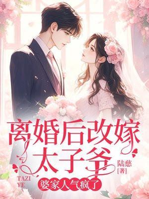离婚后改嫁太子爷免费阅读