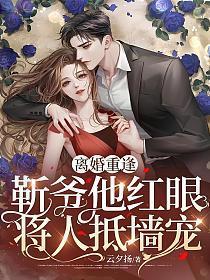 离婚重逢靳爷他红眼将人抵墙宠免费阅读