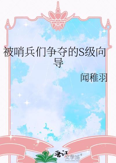 哨兵向导受