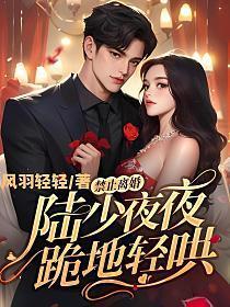 禁止离婚!陆少夜夜跪地轻哄(陆泽、乔熏