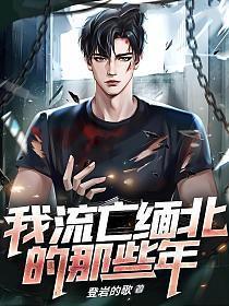 有声流在缅北的血