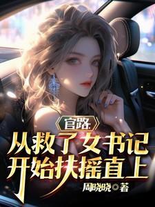 官路从救了女书记开始扶摇直上
