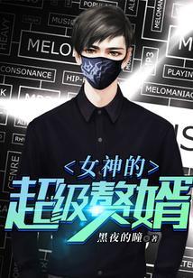 女神的超级赘婿林阳免费阅读