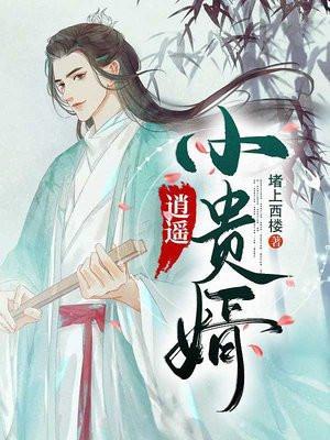 逍遥小贵婿百度百科