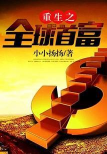 重生之全球首富苏灿