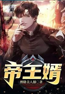 帝王婿萧天路