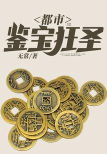 都市鉴宝狂圣TXT地址